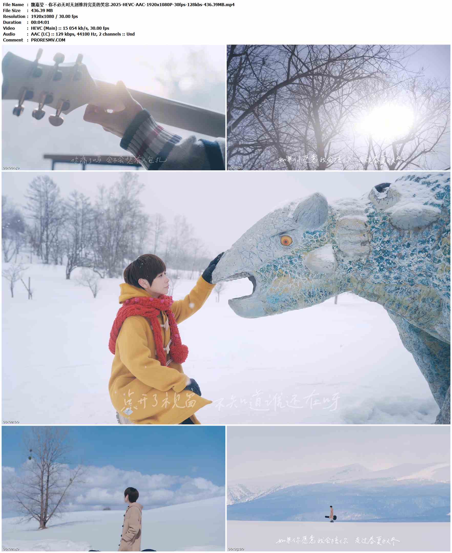 魏嘉莹 - 你不必无时无刻维持完美的笑容.2025-HEVC-AAC-1920x1080P-30fps-128kbs-436.39MB官方MV_高清MV